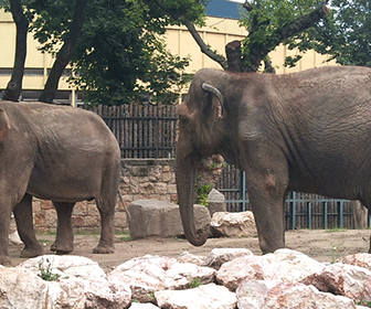 Zoo de Budapest