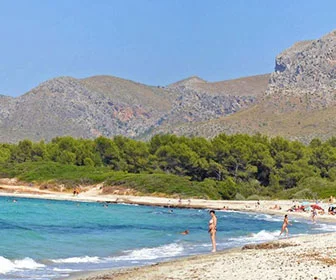 top playas de mallorca