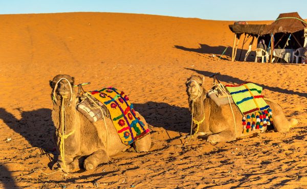 Como ir al desierto desde marrakech