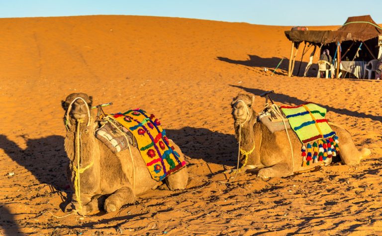 Cómo ir de Marrakech al desierto