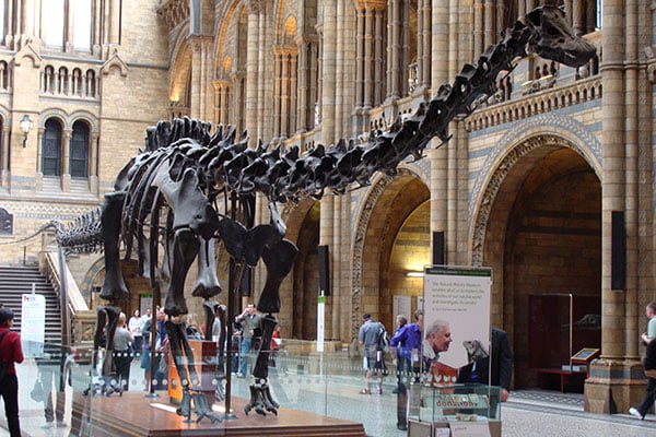 Museo de Historia Natural de Londres